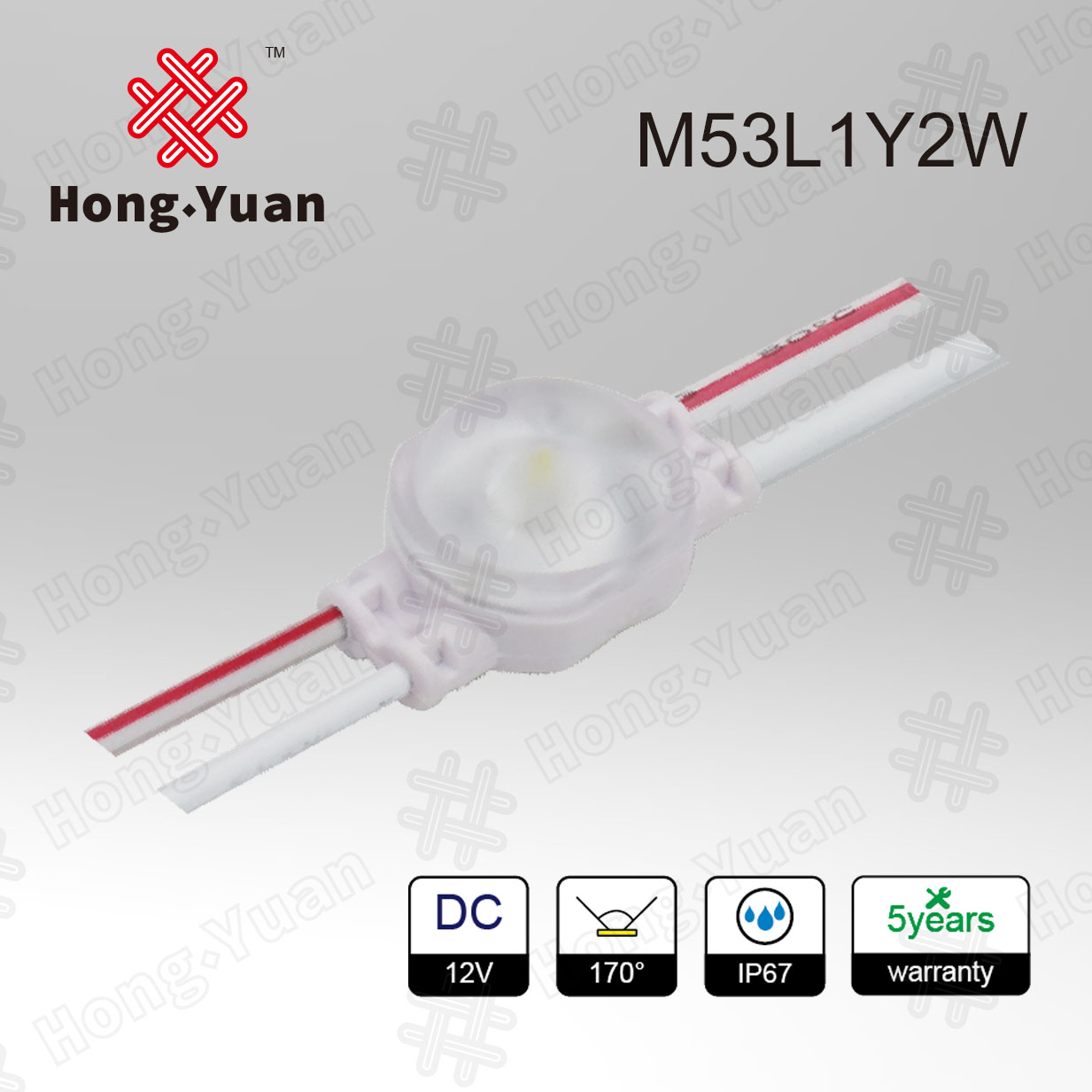 LED Module M53L1Y2W