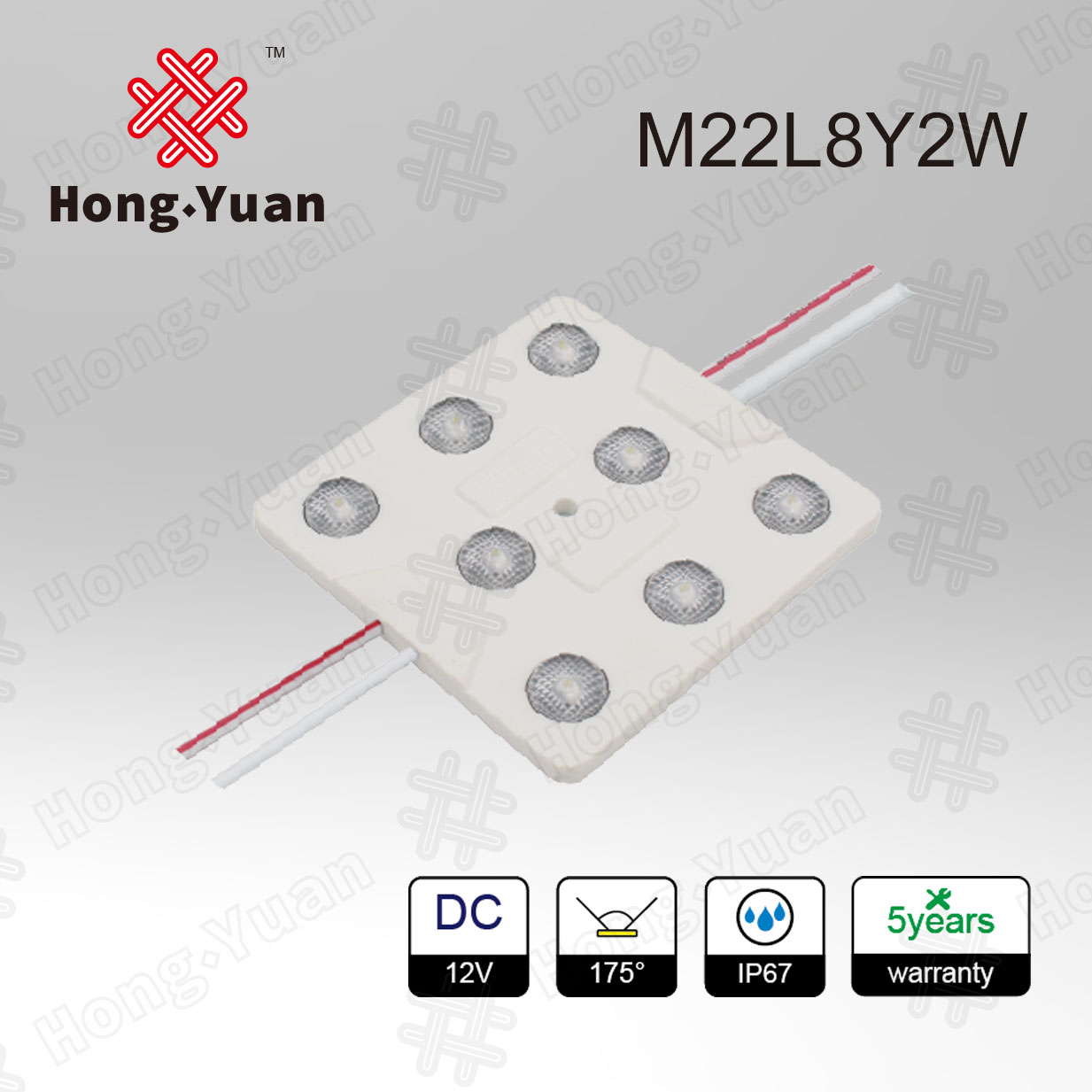 LED Module Backlit M22L8Y2W