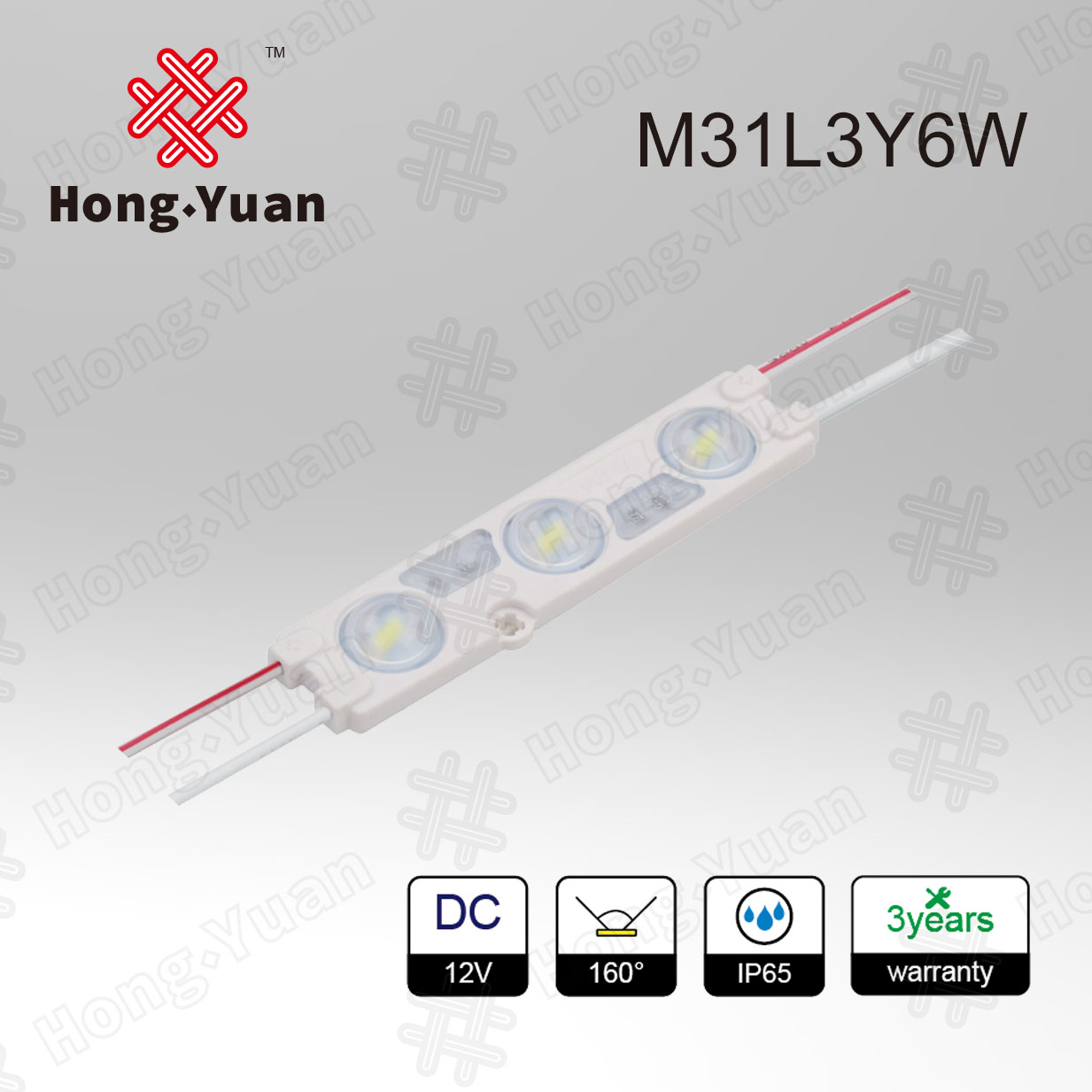 LED Module M31L3Y6W